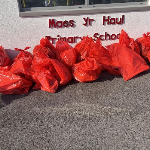 Litter Pick - April 4th 2025