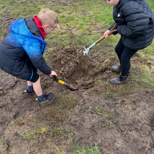 Orchard Planting 9.2.26